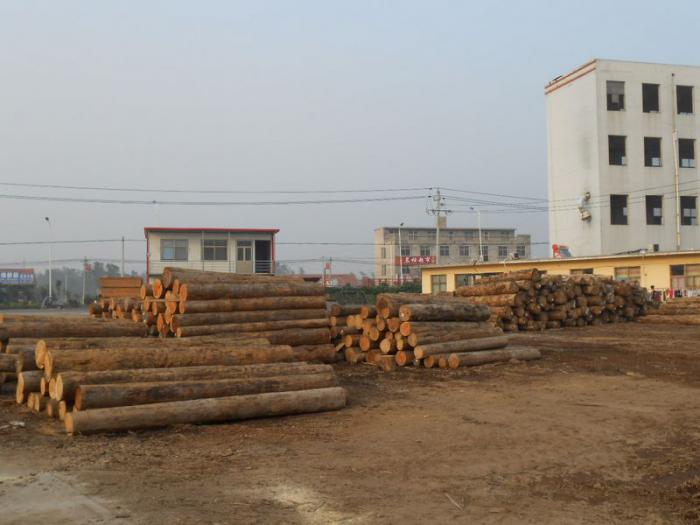 建筑原木货场