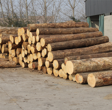 建築用原木
