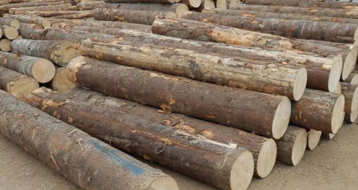 防止蛀虫损害的操作方法